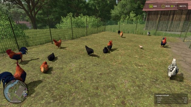 Raising Chickens – Farming Simulator 25 Guide