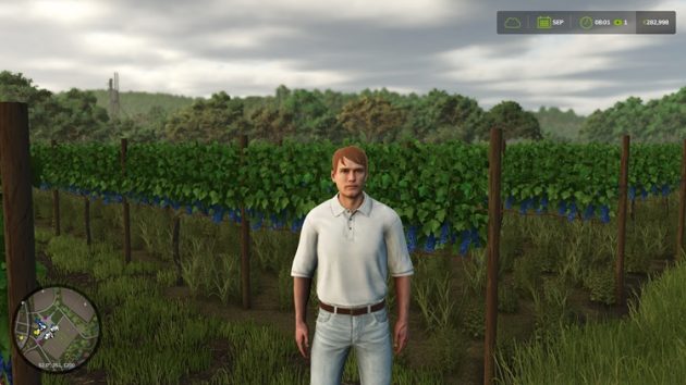 FS25 Grape Vineyard Guide