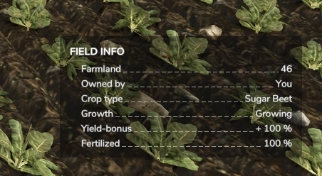 Sugar Beet Max yield