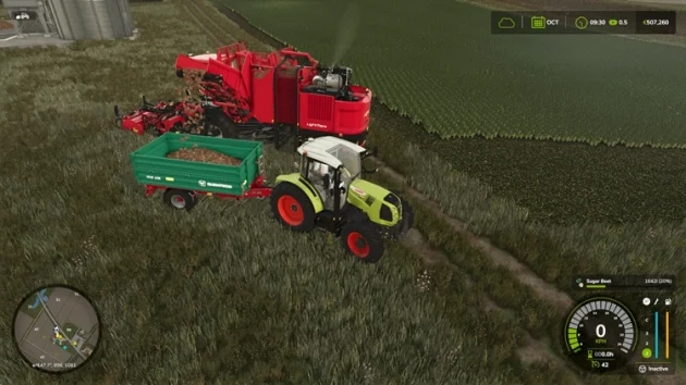 Transport Sugar Beet in Trailer