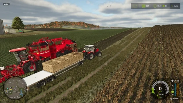 Transport Sugar Beet in Vegetables Pallet