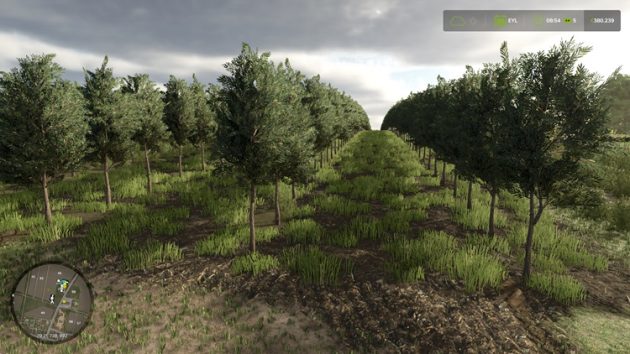 How to Grow Olives and Make Olive Oil in Farming Simulator 25